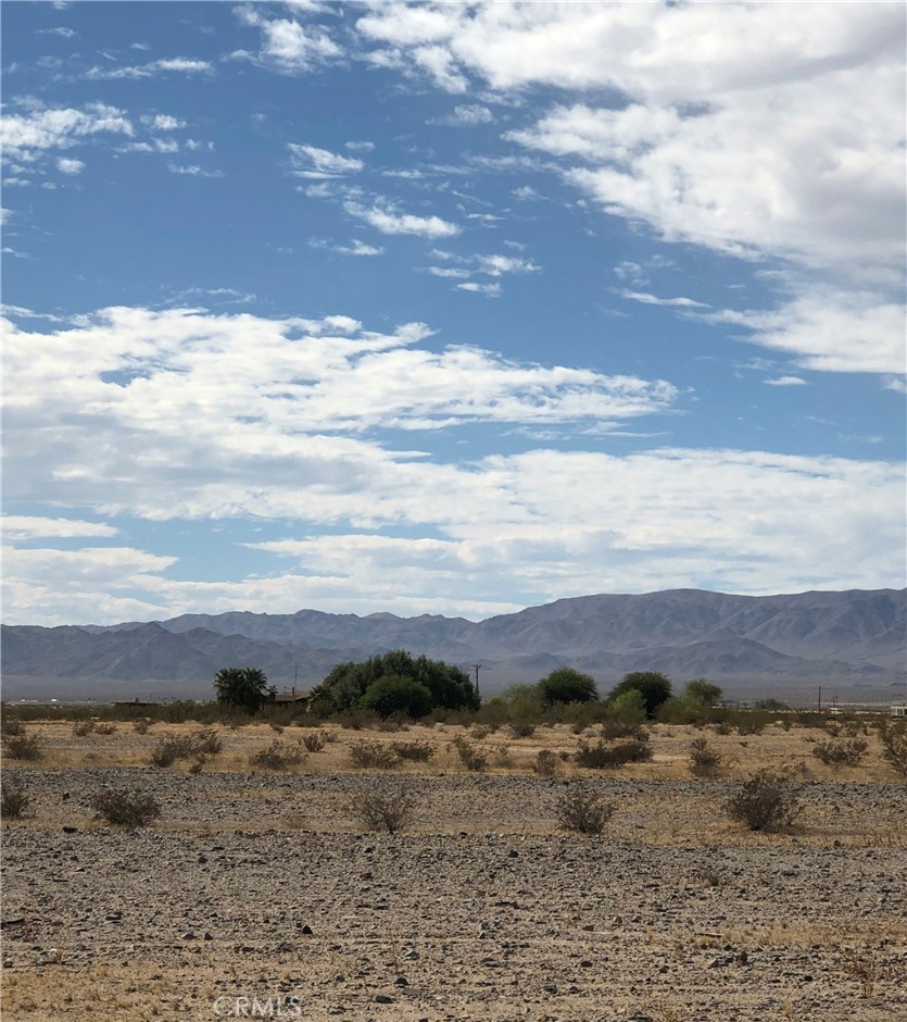 MLS #JT24137642 image #1