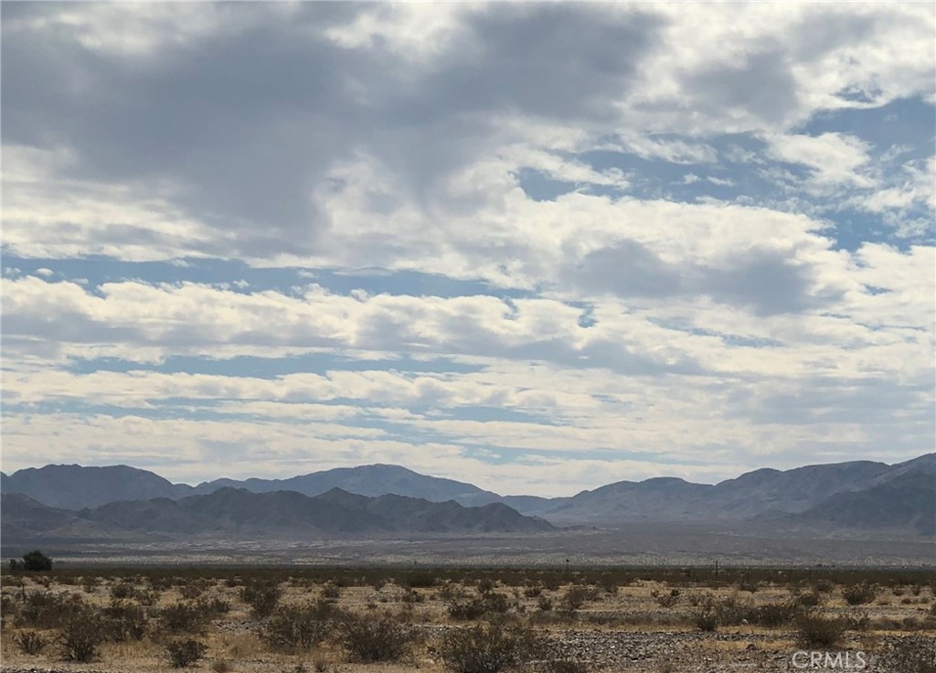 MLS #JT24137642 image #3