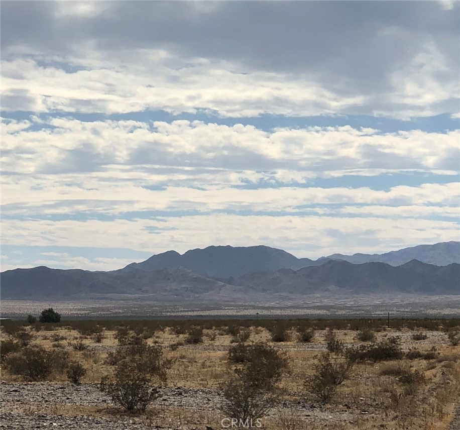 MLS #JT24137642 image #5