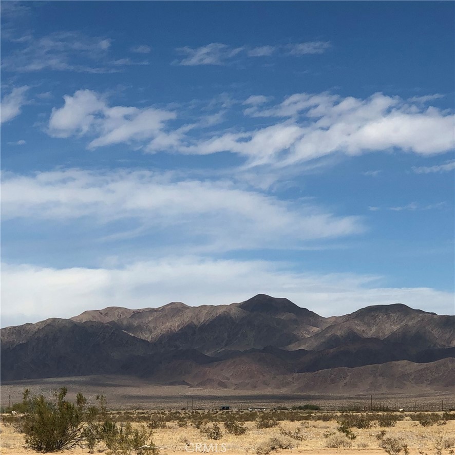 MLS #JT24137930 image #3