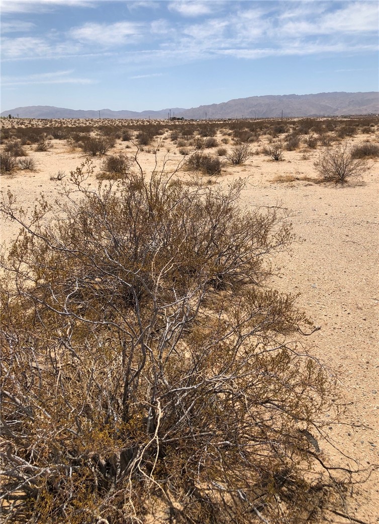 MLS #JT24137930 image #4