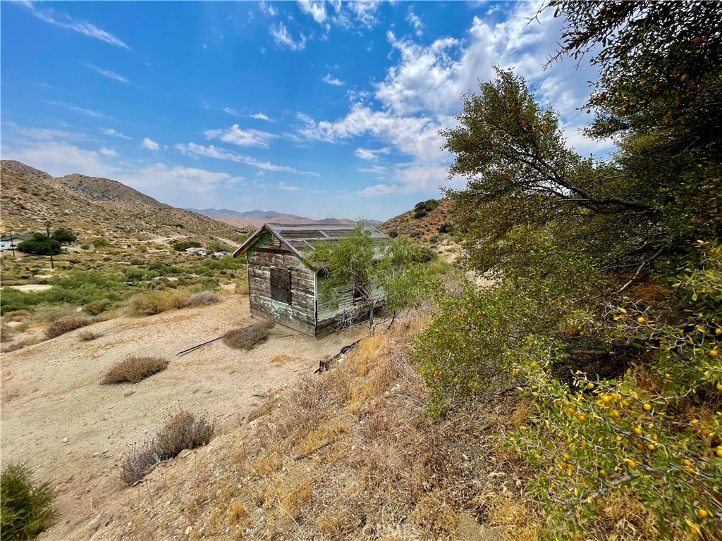 MLS #JT24144033 image #1