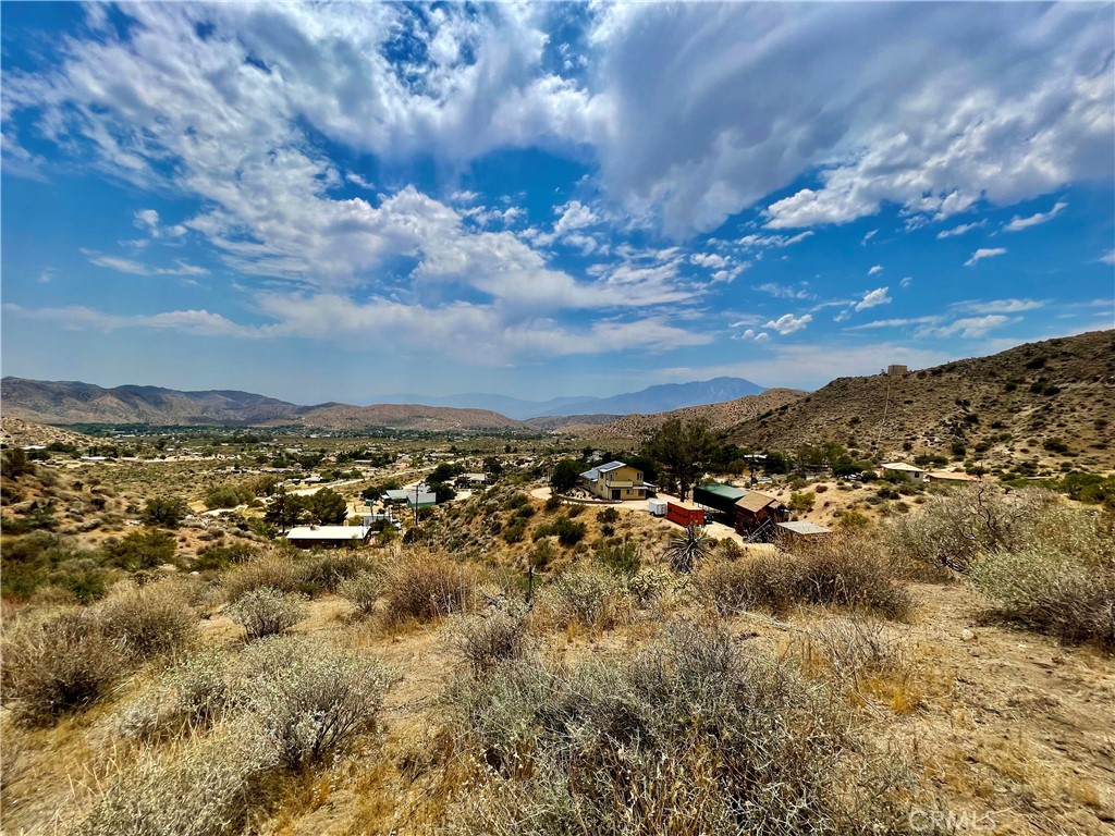 MLS #JT24144033 image #10