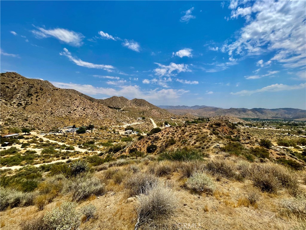 MLS #JT24144033 image #12