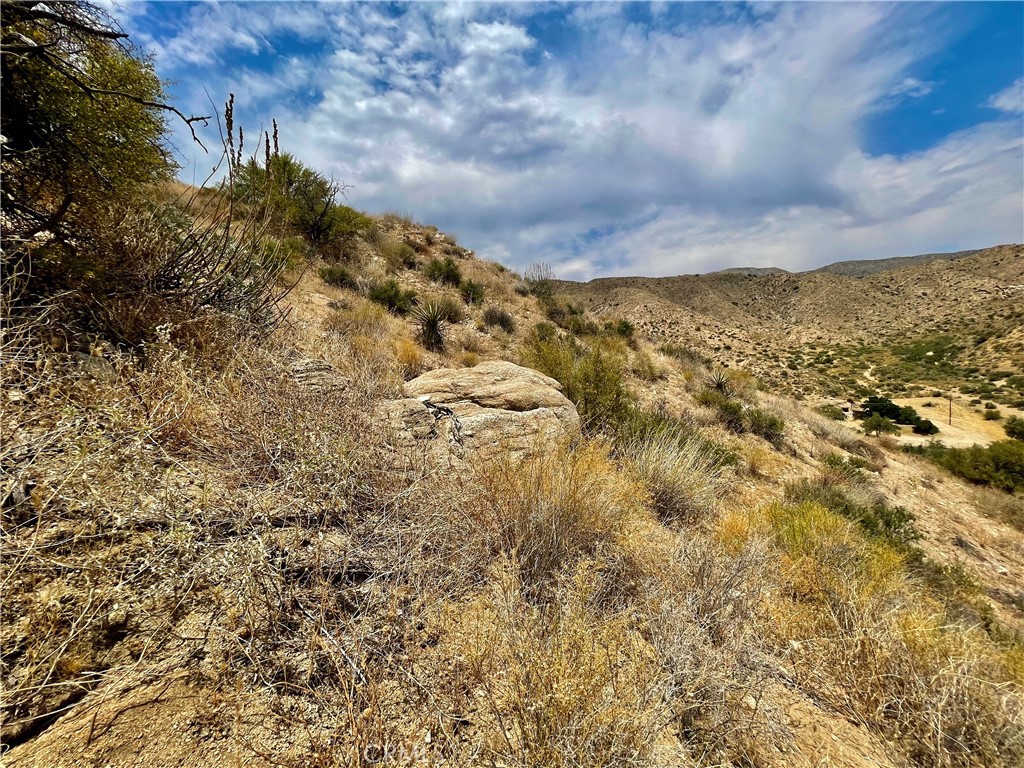 MLS #JT24144033 image #14