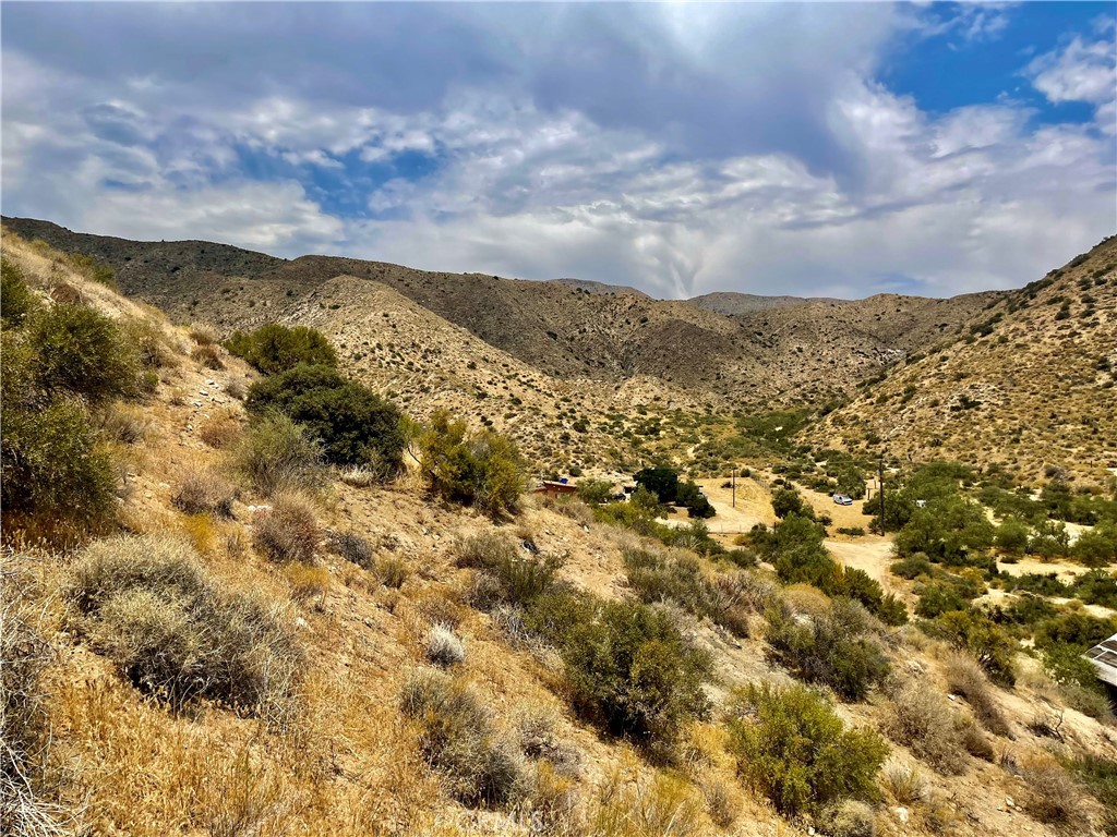 MLS #JT24144033 image #15