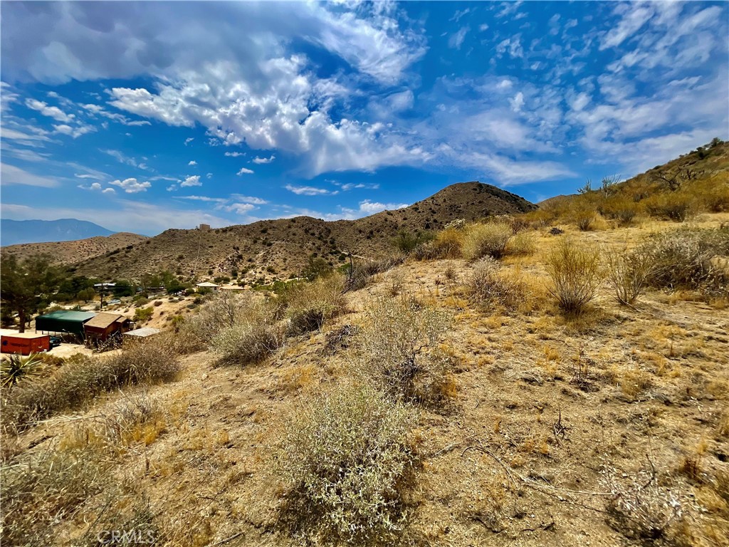 MLS #JT24144033 image #16