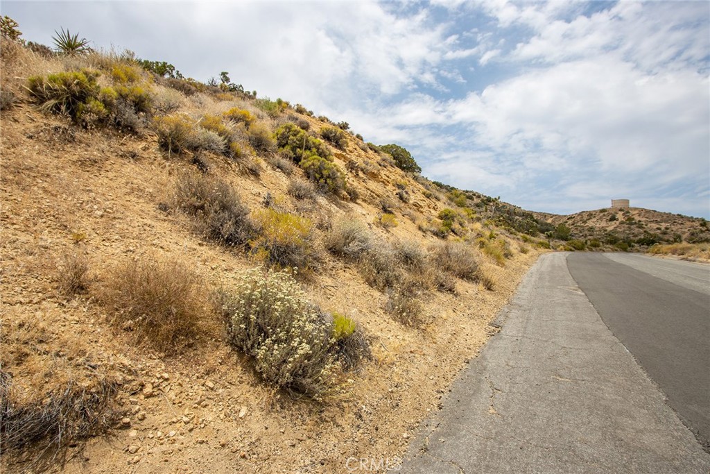 MLS #JT24152390 image #10