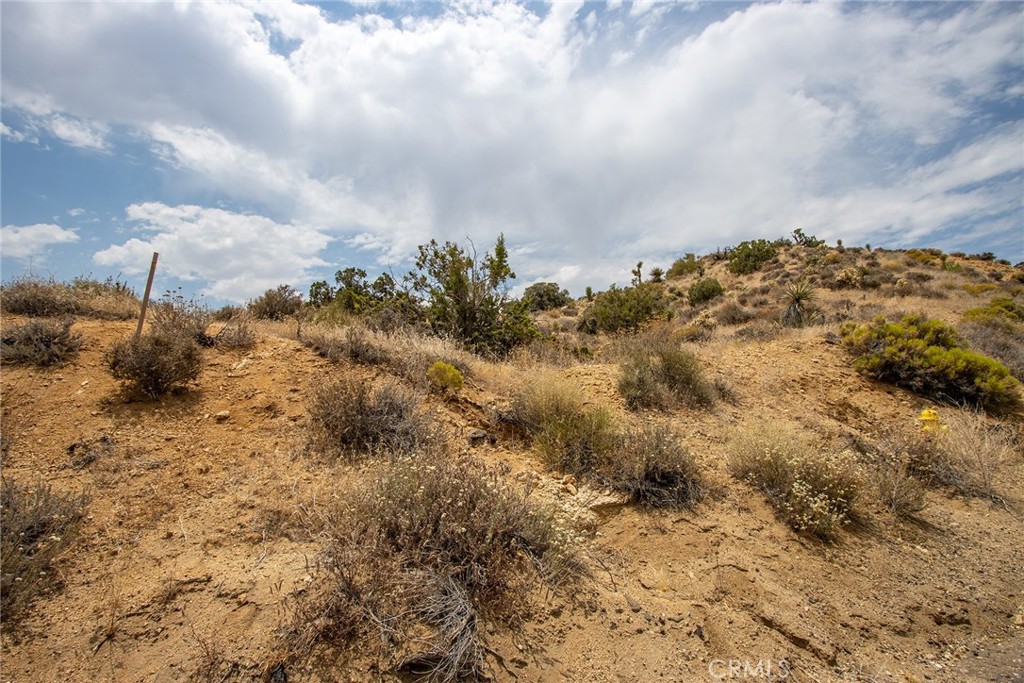 MLS #JT24152390 image #12