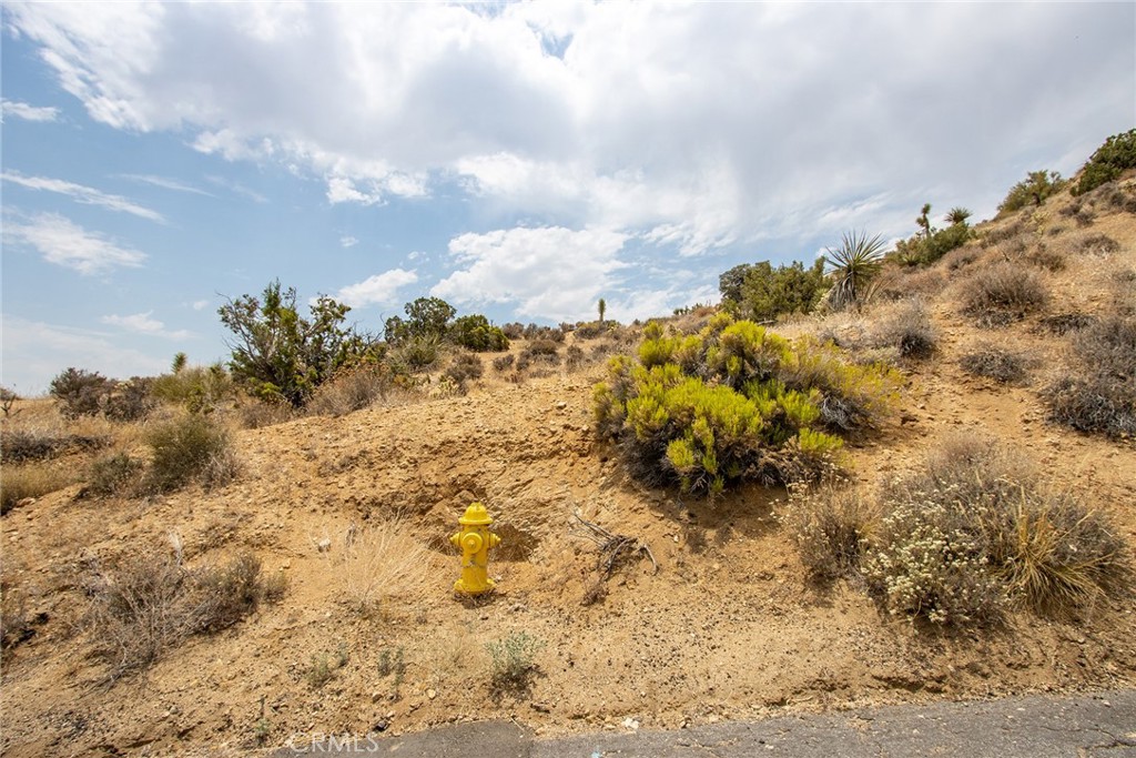 MLS #JT24152390 image #14