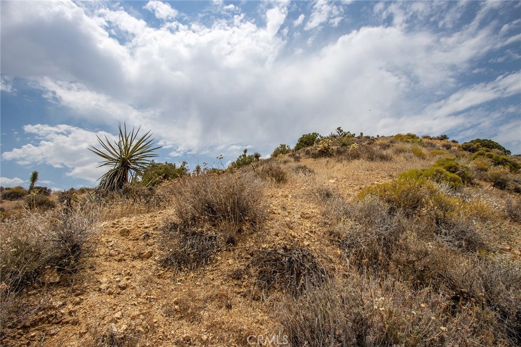 MLS #JT24152390 image #15