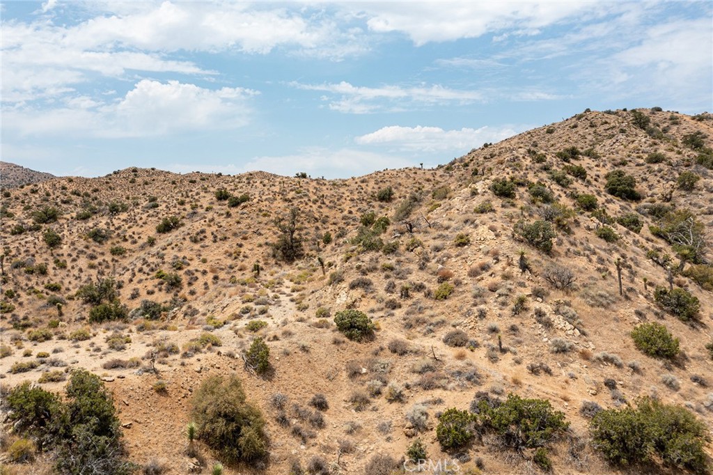 MLS #JT24152390 image #4