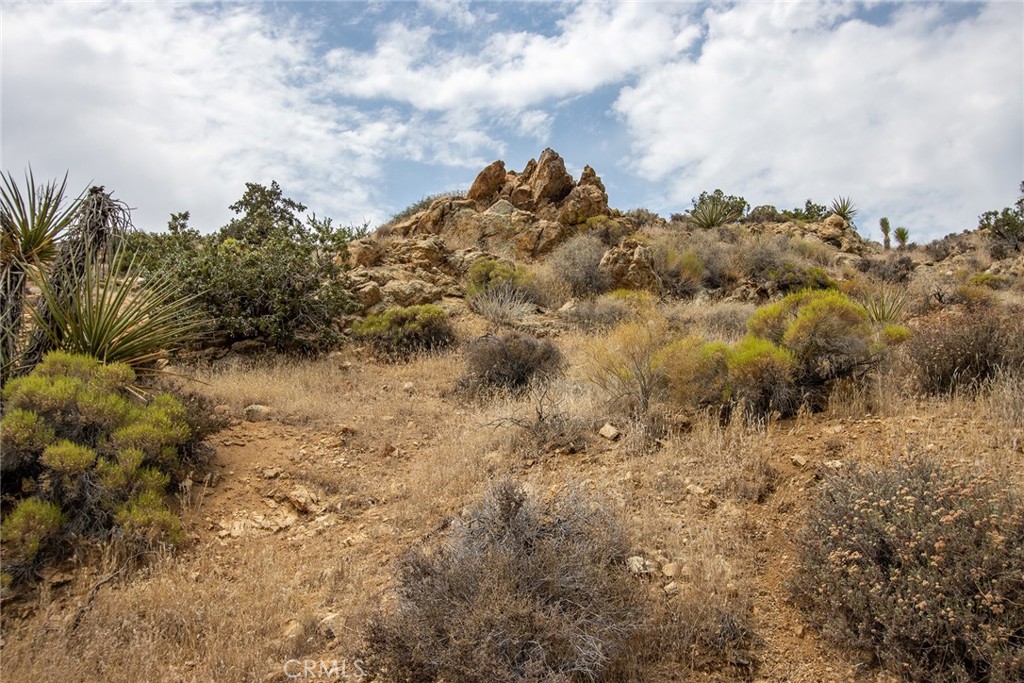 MLS #JT24152459 image #5