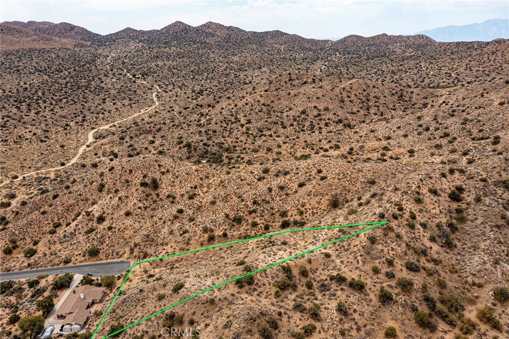 MLS #JT24152459 image #6