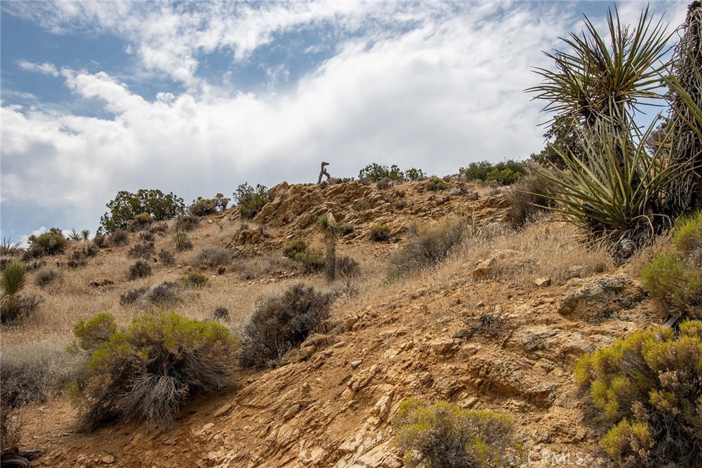 MLS #JT24152459 image #7