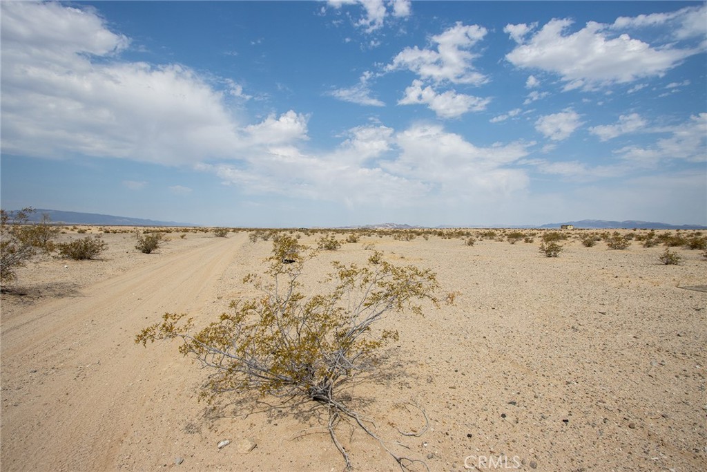 MLS #JT24152468 image #14