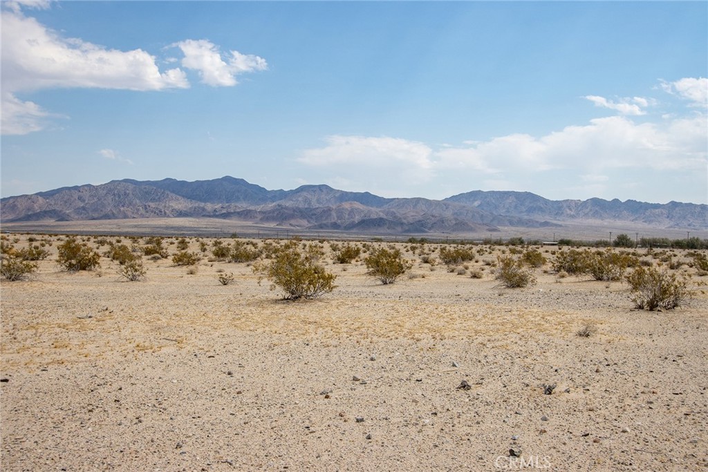 MLS #JT24152468 image #17