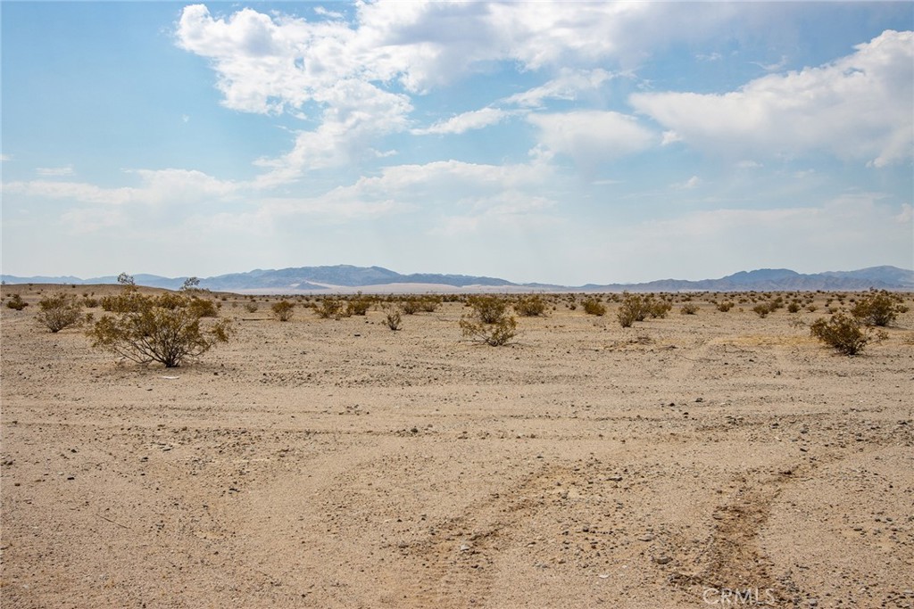 MLS #JT24152468 image #3