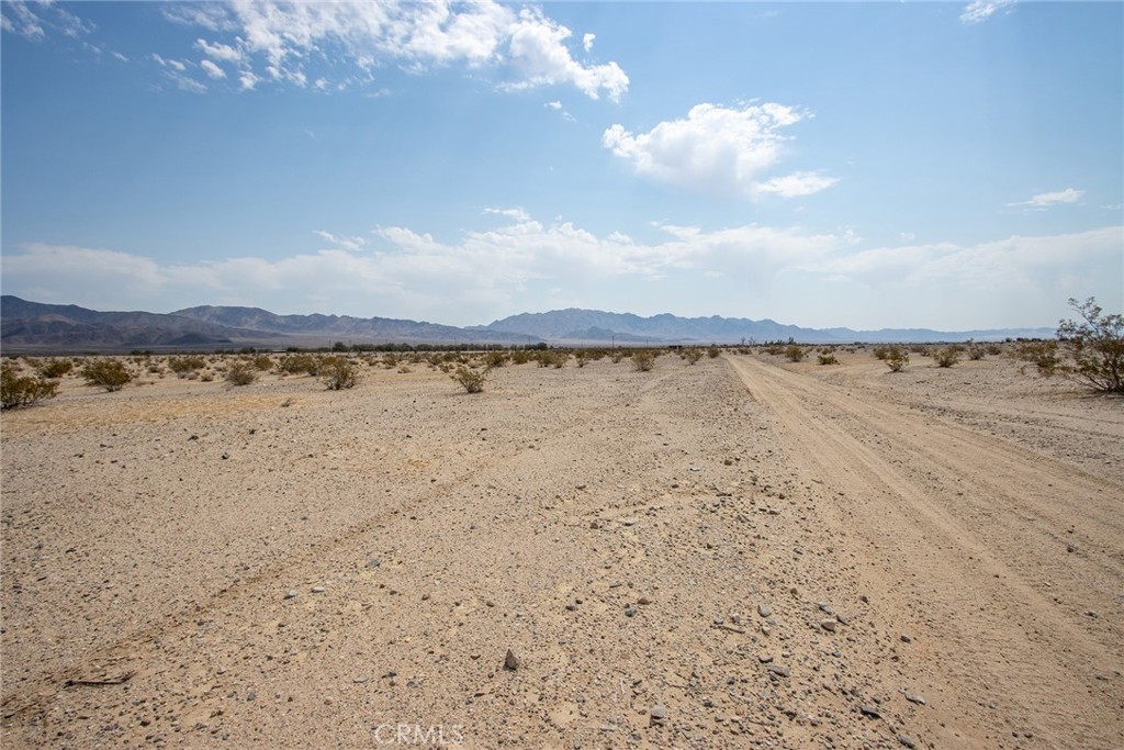 MLS #JT24152468 image #8