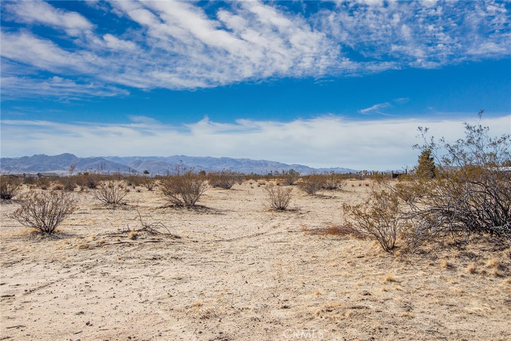 MLS #JT24154385 image #5