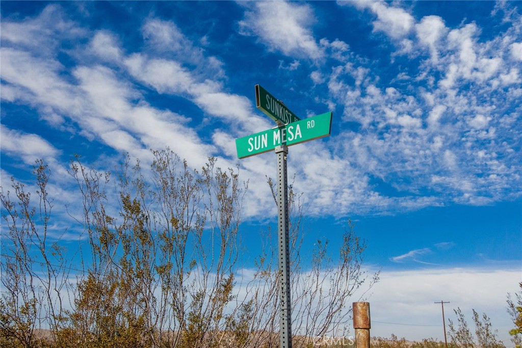 MLS #JT24154385 image #6