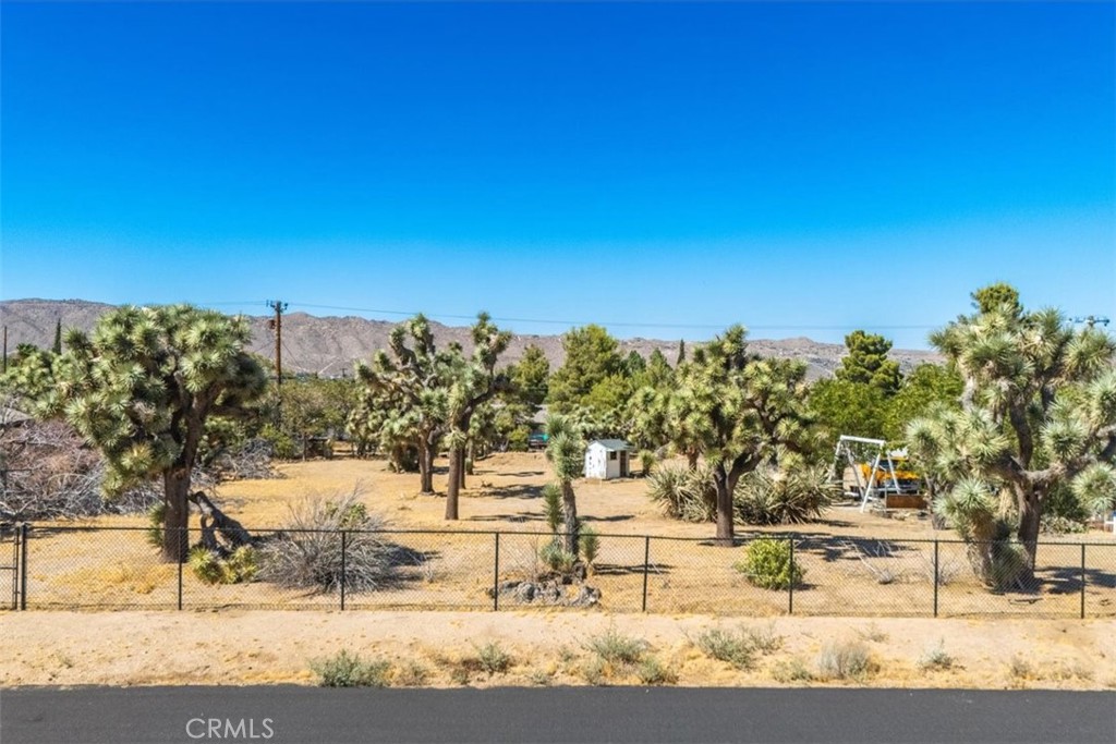 MLS #JT24161166 image #11