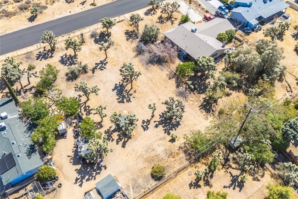 MLS #JT24161166 image #19