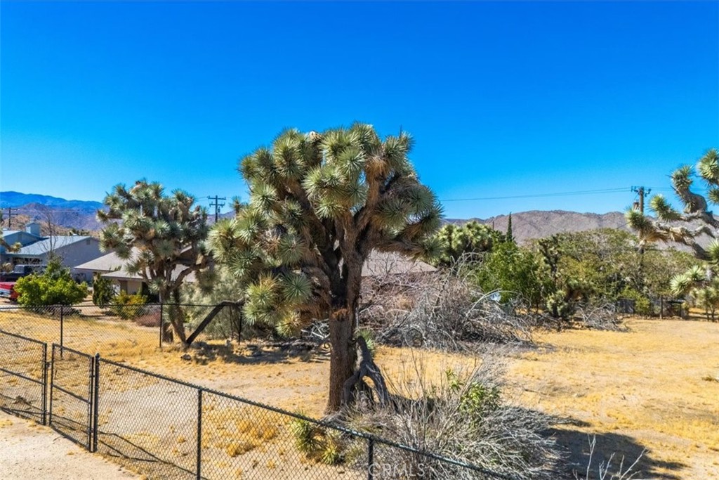 MLS #JT24161166 image #29