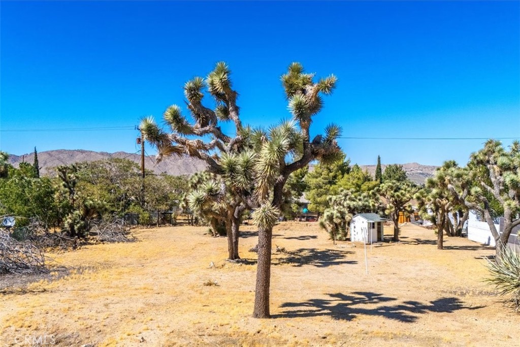 MLS #JT24161166 image #30