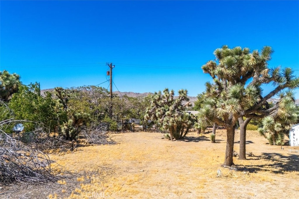 MLS #JT24161166 image #31