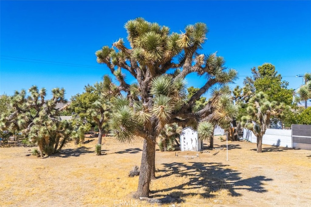 MLS #JT24161166 image #32