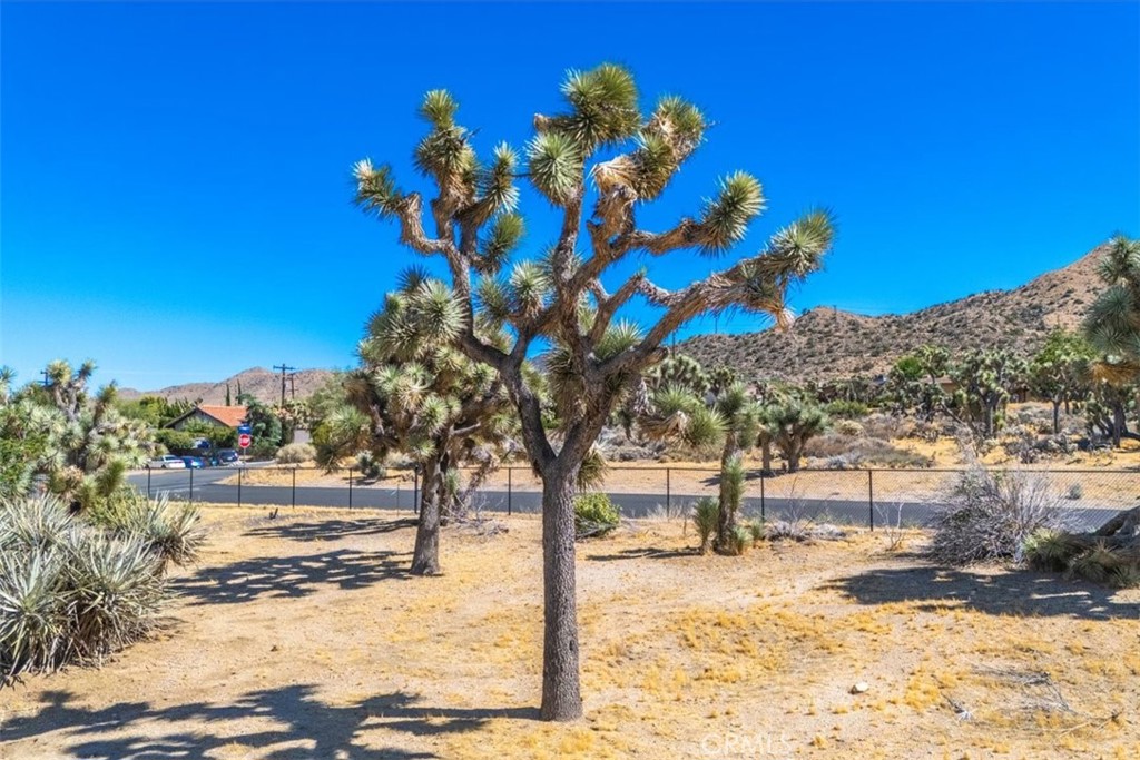 MLS #JT24161166 image #5