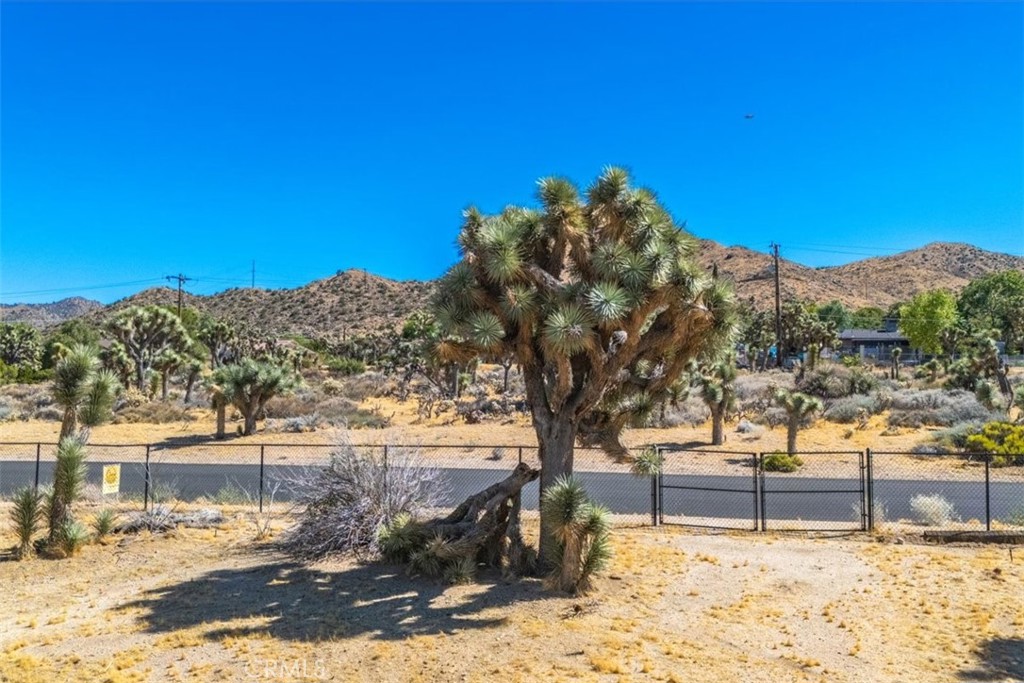 MLS #JT24161166 image #6