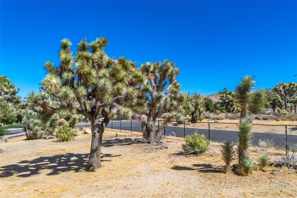 MLS #JT24161166 image #7