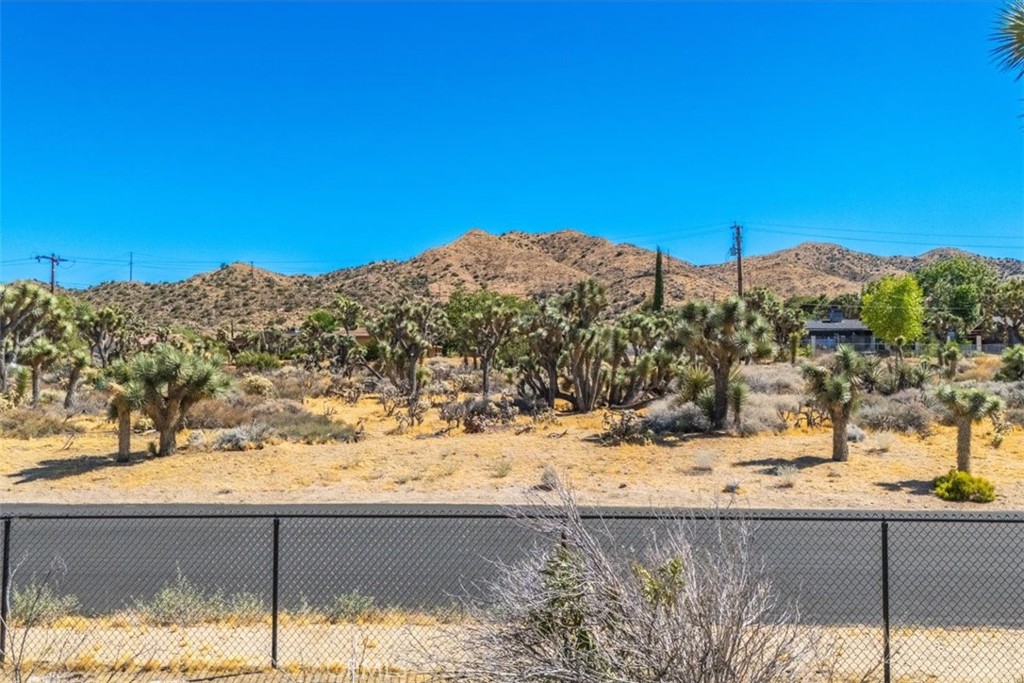 MLS #JT24161166 image #8