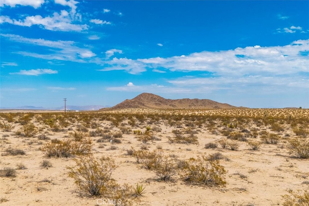 MLS #JT24168810 image #10