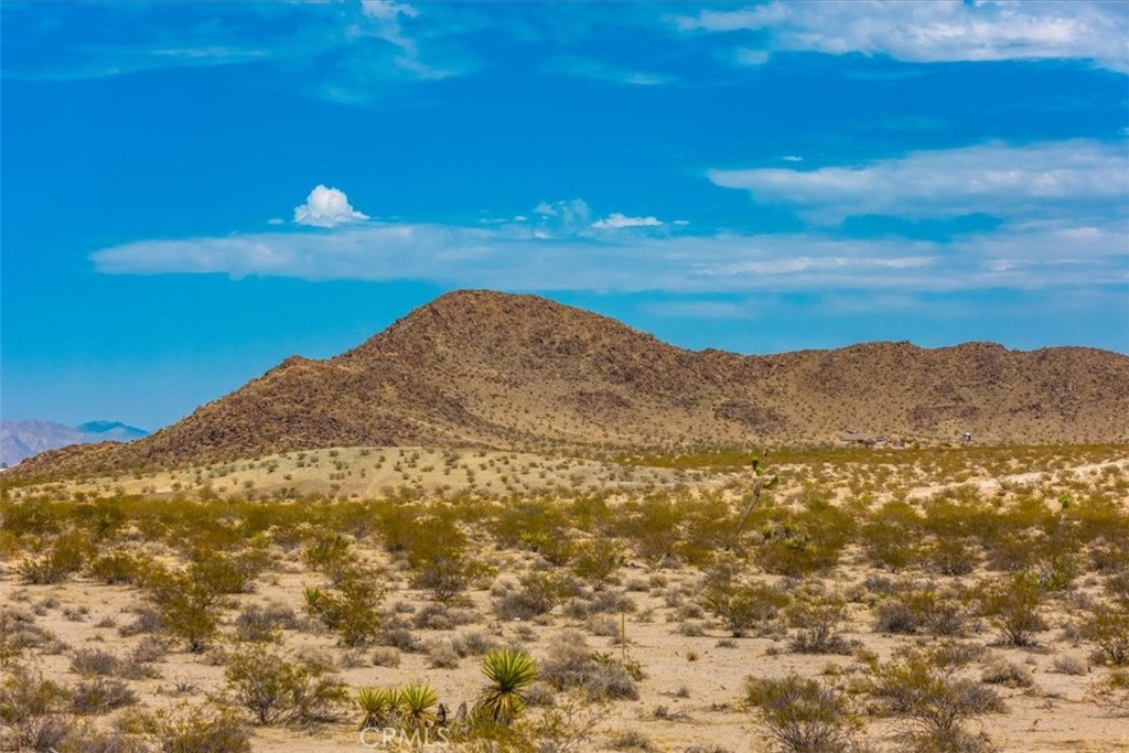 MLS #JT24168810 image #12