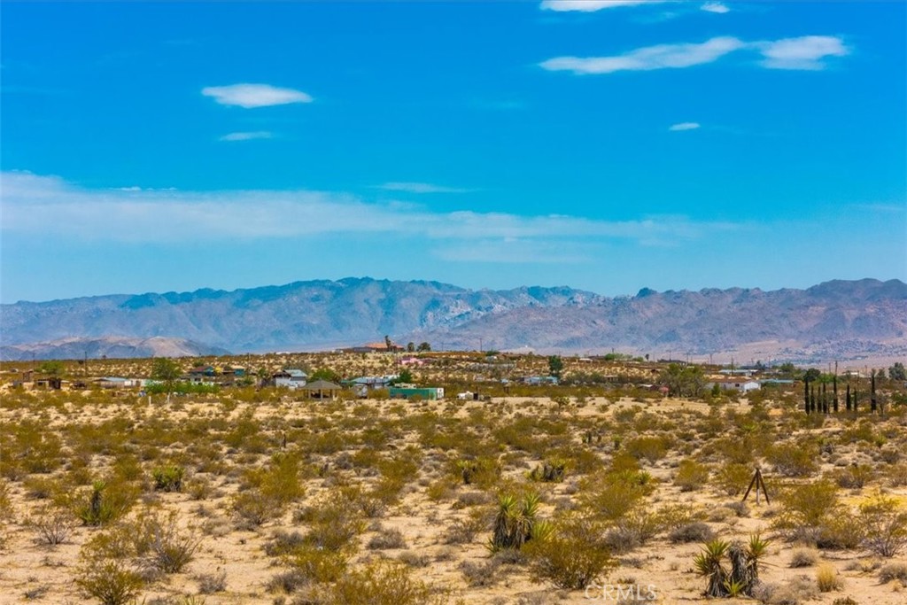 MLS #JT24168810 image #13