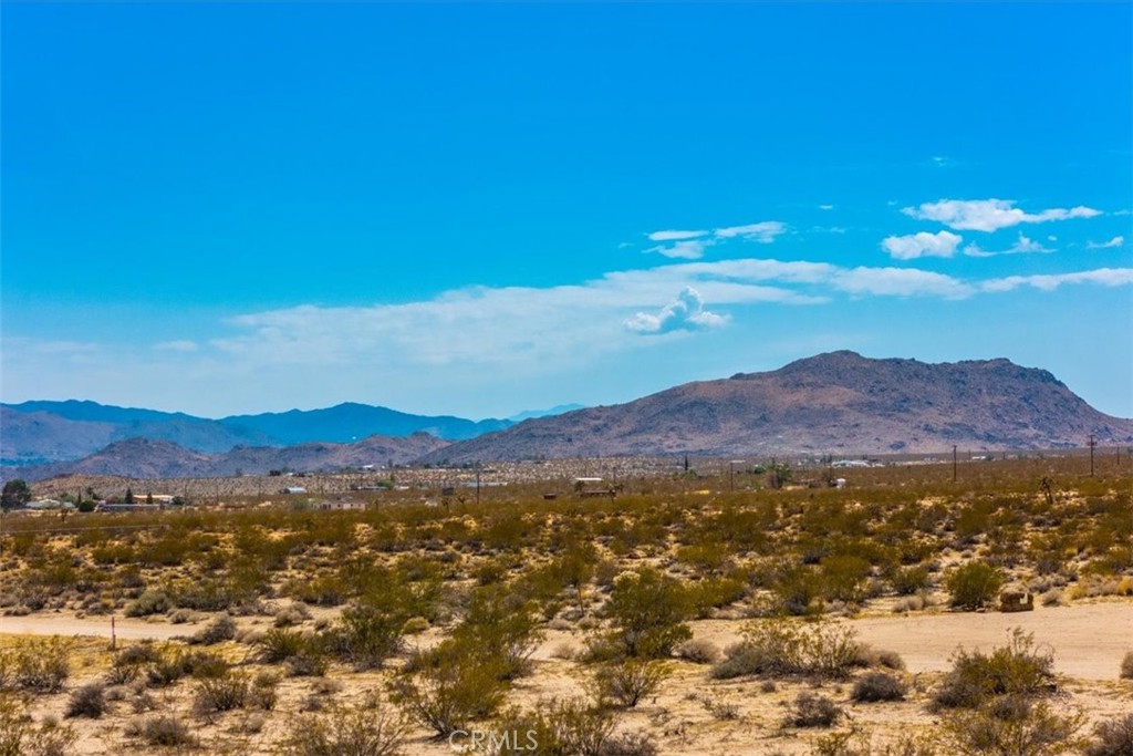 MLS #JT24168810 image #15