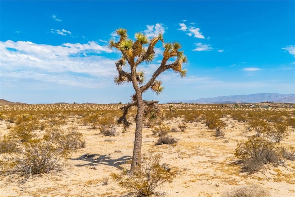 MLS #JT24168810 image #16