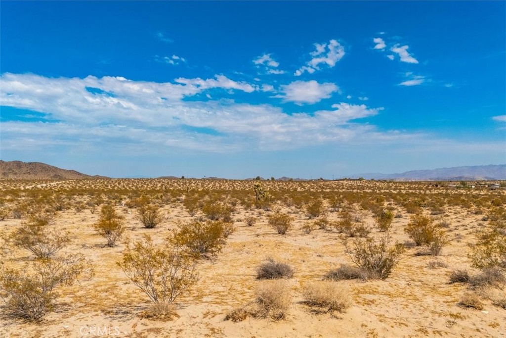 MLS #JT24168810 image #17