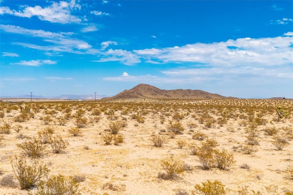 MLS #JT24168810 image #18