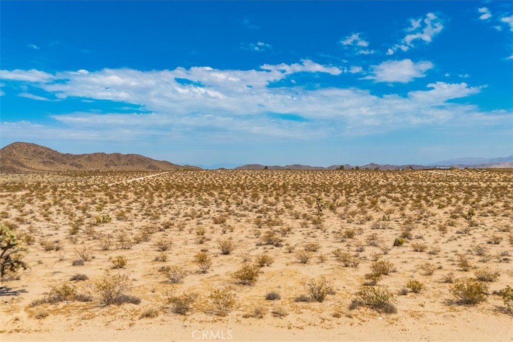 MLS #JT24168810 image #19