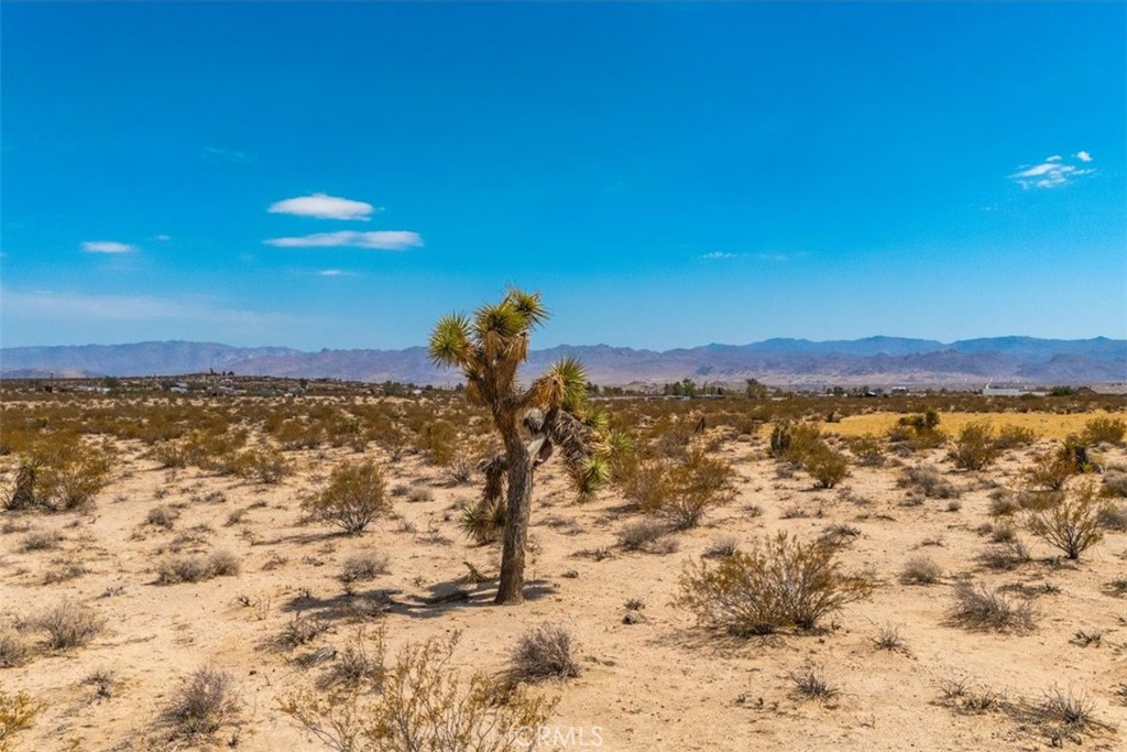 MLS #JT24168810 image #5