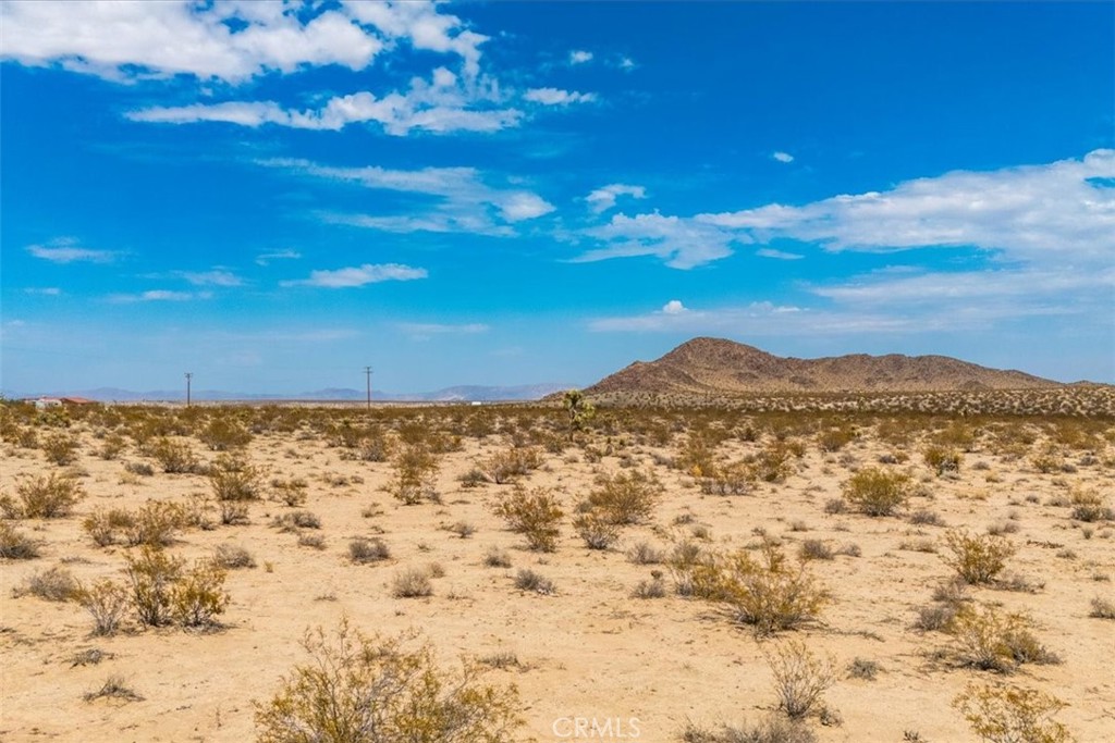 MLS #JT24168810 image #6