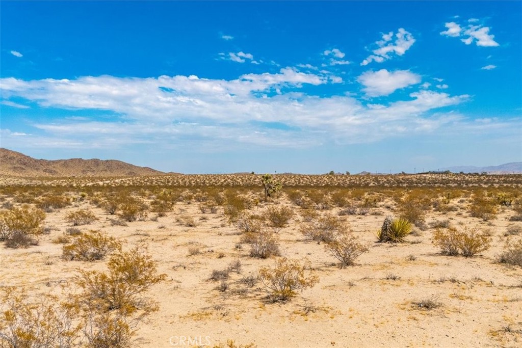 MLS #JT24168810 image #7