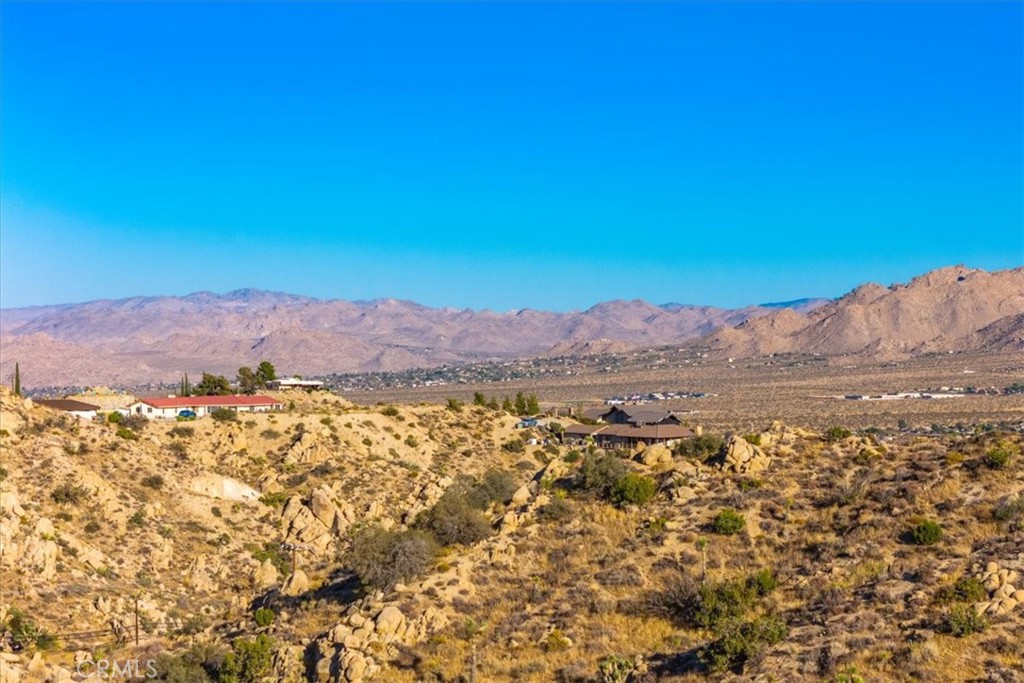 MLS #JT24179598 image #1