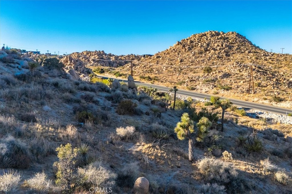 MLS #JT24179598 image #11