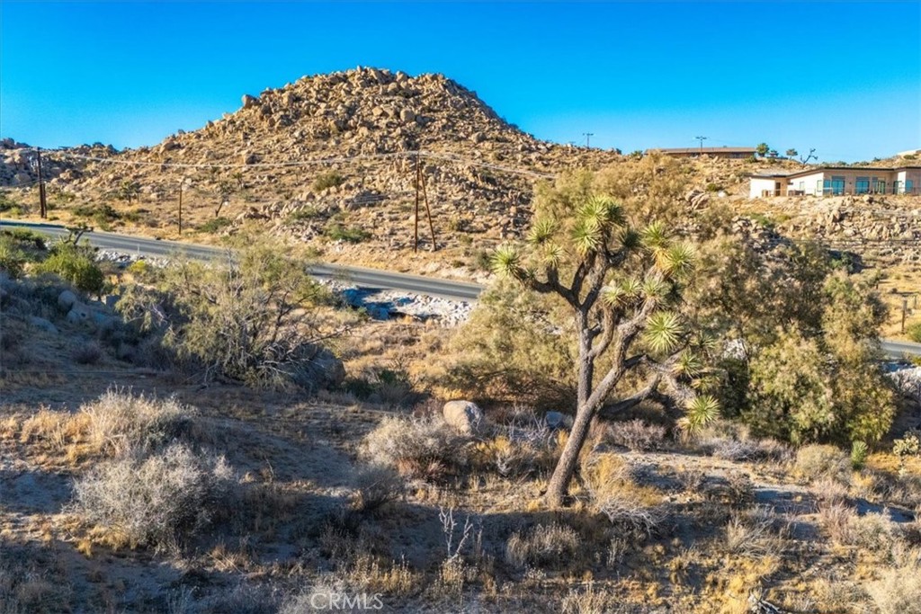 MLS #JT24179598 image #12