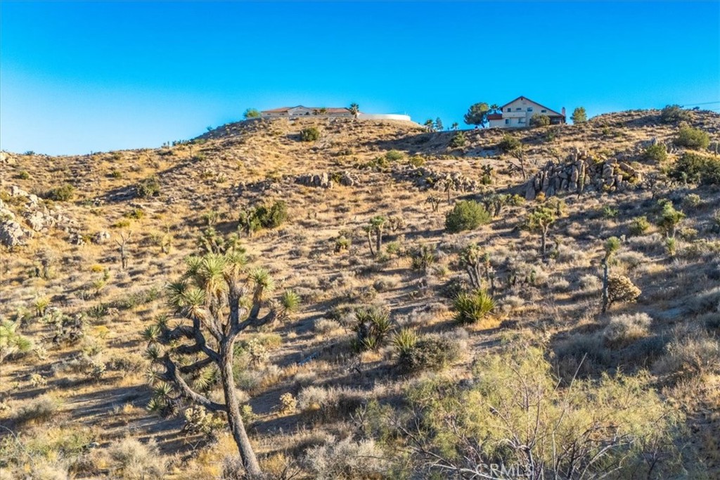 MLS #JT24179598 image #13